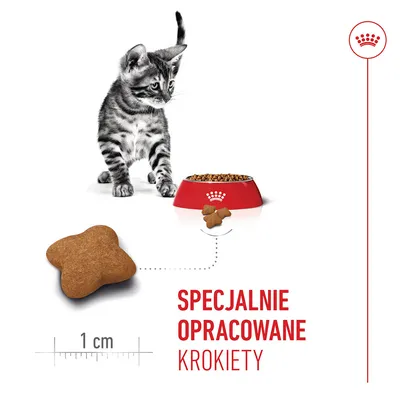 Karma dla kotów – krokiet z miarką 1 cm, czerwona miska na karmę z krokietami, tekst: Specjalnie opracowane krokiety. Karma dla kotów – krokiet z miarką 1 cm, czerwona miska na karmę z krokietami, tekst: Specjalnie opracowane krokiety.