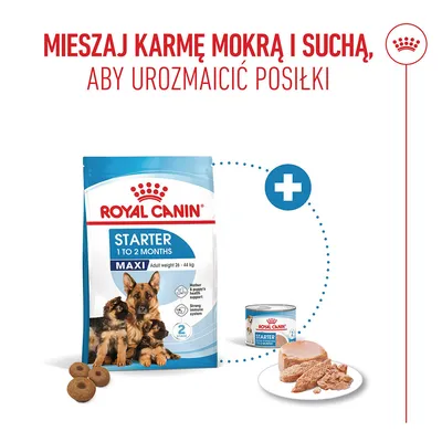 Royal Canin Starter Maxi karma sucha i mokra przedstawione, uwaga: zalecane mieszanie karmy suchej i mokrej.