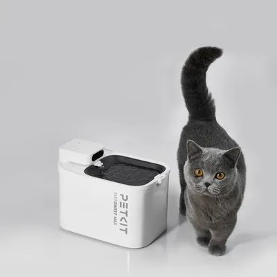 Petkit Trinkbrunnen Eversweet Max