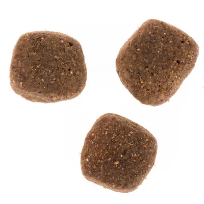 Kolme ruskeaa, neliönmuotoista kuivaruokanappulaa valkoisella taustalla. Tuotemerkki ja lisätiedot eivät näy.