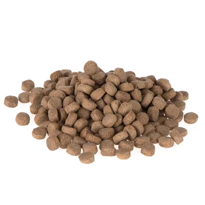 Brown, round dry food pieces in a pile, visible without packaging.