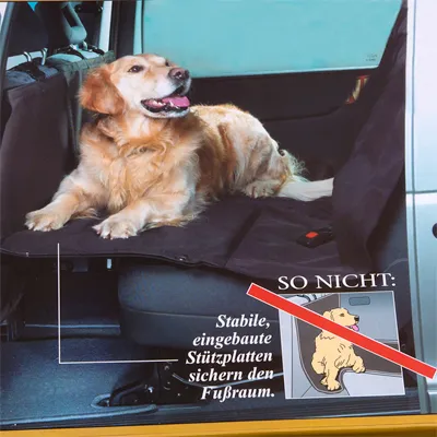 Hund auf Autositz mit Schutzdecke. Hinweis: Stabile, eingebaute Stützplatten sichern den Fussraum. Illustration zeigt falsche Position des Hundes mit rotem Kreuz und Text 'So nicht'.