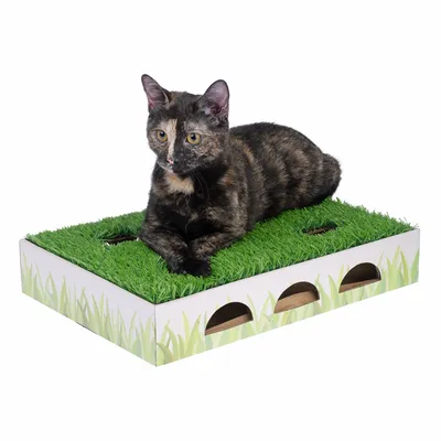 Cat toy made of cardboard with artificial grass and openings, a cat lying on it. Play and resting area for cats.