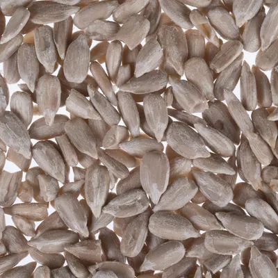 Close-up of shelled sunflower seeds, suitable for bird feed or pet food.