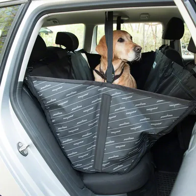 Hund sitter på ett svart bilskydd med säkerhetsbälte, lämpligt för baksätet. Skyddet skyddar säten mot smuts och djurhår.