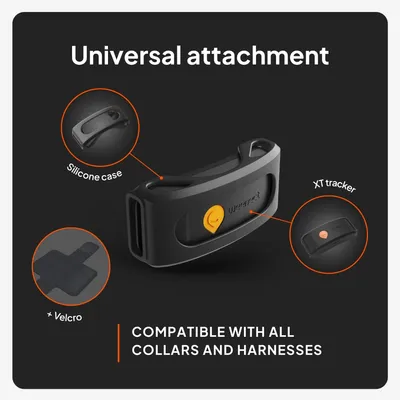 Weenect Pet GPS Tracker XT för hundar