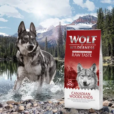 Wolf of Wilderness Raw Taste Canadian Woodlands freeze-dried raw-coated food, 100% grain-free and potato-free recipe, shown beside a wolf in a natural outdoor setting.