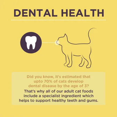 Dental health information: up to 70% of cats develop dental disease by age 3. Adult cat foods include a specialist ingredient to support healthy teeth and gums.