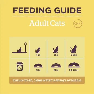 Feeding guide for adult cats: 4kg cat needs 50g, 5kg cat needs 60g, 5-8kg cat needs 60-70g+ food daily. Ensure fresh, clean water is always available.