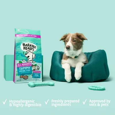 Pet food packaging with a pet in a bed, showing product features: hypoallergenic and highly digestible, freshly prepared ingredients, approved by vets and pets.