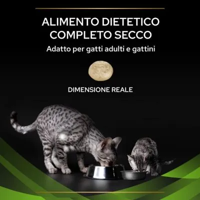 ALIMENTO DIETETICO COMPLETO SECCO. Adatto per gatti adulti e gattini. Dimensione reale di una crocchetta mostrata. Due gatti mangiano da ciotole metalliche.