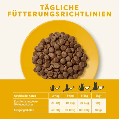 Tägliche Fütterungsrichtlinien für Katzen: Gewicht 2-4kg, Wohnungskatze 25-40g, Freigängerkatze 40-60g. Gewicht 8kg+, Wohnungskatze 60g+, Freigängerkatze 100g+.
