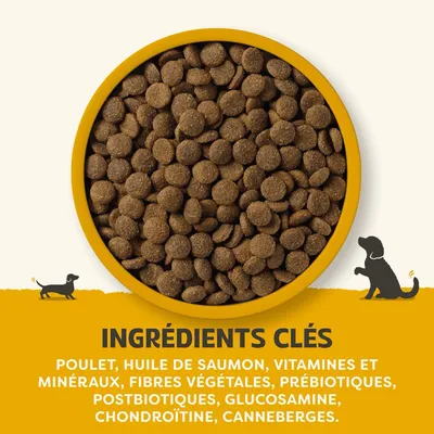 Ingrédients principaux : poulet, huile de saumon, vitamines, minéraux, fibres végétales, prébiotiques, postbiotiques, glucosamine, chondroïtine, canneberges.