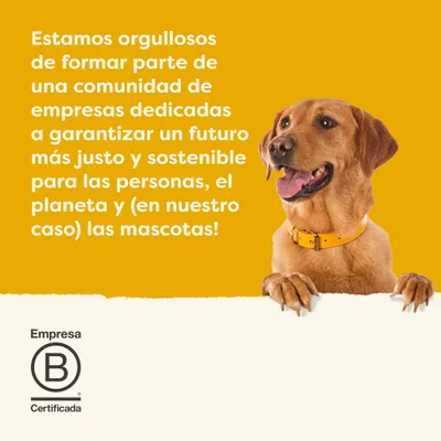 Applaws Taste Toppers en bolsitas para perros 12 x 85 g Applaws Taste Toppers en bolsitas para perros 12 x 85 g