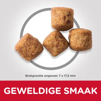 Vier brokken, brokgrootte ongeveer 7 × 17,5 mm. Tekst: GEWELDIGE SMAAK.