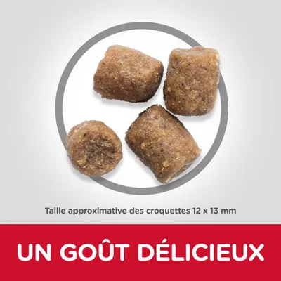 Taille approximative des croquettes 12 × 13 mm, texte visible : UN GOÛT DÉLICIEUX