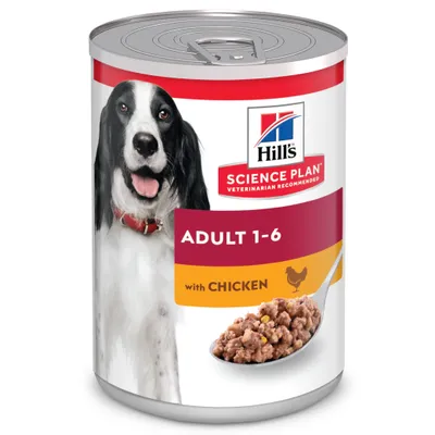 Boîte Hill's Science Plan Adult 1-6 with Chicken, image d’un chien noir et blanc, pâtée en gros plan sur une cuillère, texte visible : VETERINARIAN RECOMMENDED.