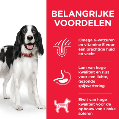 Belangrijke voordelen: omega 6-vetzuren en vitamine E voor huid en vacht, lam en rijst voor lichte spijsvertering, eiwit van hoge kwaliteit voor opbouw van slanke spieren.