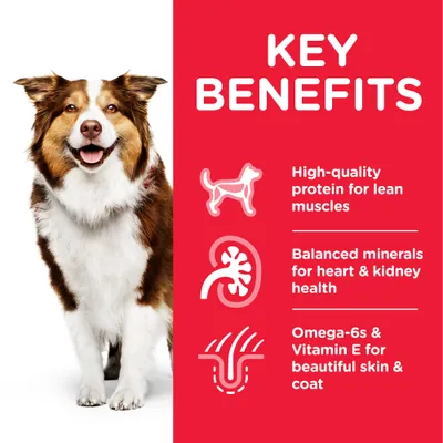 Teksti englanniksi: Key Benefits. High-quality protein for lean muscles, Balanced minerals for heart & kidney health, Omega-6s & Vitamin E for beautiful skin & coat.