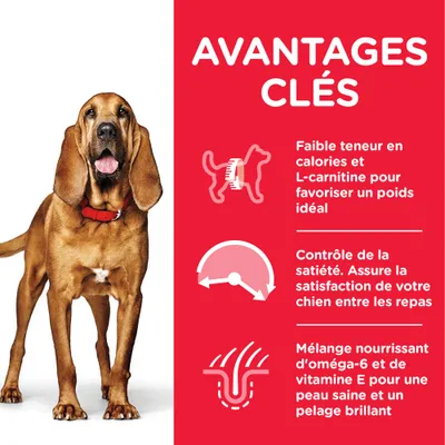 Texte en fr_BE : AVANTAGES CLÉS. Faible teneur en calories et L-carnitine, contrôle de la satiété, mélange d’oméga-6 et vitamine E pour peau saine et pelage brillant.