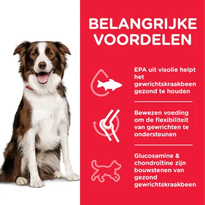BELANGRIJKE VOORDELEN: EPA uit visolie helpt het gewrichtskraakbeen gezond te houden, bewezen voeding voor flexibiliteit van gewrichten, glucosamine & chondroïtine voor gezond kraakbeen.