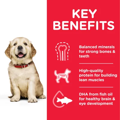 KEY BENEFITS: Balanced minerals for strong bones & teeth, high-quality protein for building lean muscles, DHA from fish oil for healthy brain & eye development (κείμενο στα αγγλικά).