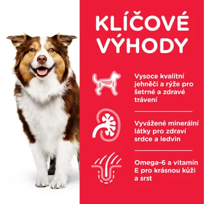 KĽÚČOVÉ VÝHODY: Vysoko kvalitní jehněčí a rýže pro šetrné a zdravé trávení, vyvážené minerální látky pro zdraví srdce a ledvin, omega-6 a vitamín E pro krásnu kůži a srst.