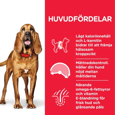 HUVUDFÖRDELAR: Lågt kaloriinnehåll och L-karnitin främjar hälsosam kroppsvikt, mättnadskontroll mellan måltider, omega-6-fettsyror och vitamin E för frisk hud och glansande päls.