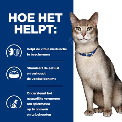 HOE HET HELPT: Helpt de vitale nierfunctie te beschermen. Stimuleert de eetlust en verhoogt de voedselopname. Ondersteunt het natuurlijke vermogen om spiermassa op te bouwen en te behouden.