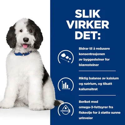 Hill's Prescription Diet c/d Urinary Care Ragout med Kylling