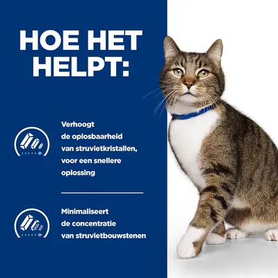 HOE HET HELPT: Verhoogt de oplosbaarheid van struvietkristallen, voor een snellere oplossing. Minimaliseert de concentratie van struvietbouwstenen. Afbeelding van een kat met blauwe halsband.