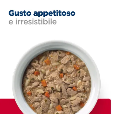 Gusto appetitoso e irresistibile. Ciotola bianca con cibo umido per animali, visibili pezzi di carne, carote e altri ingredienti.