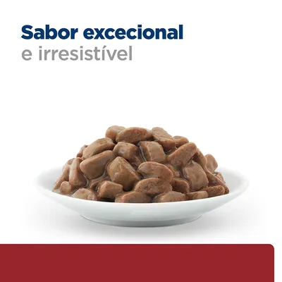 Sabor excecional e irresistível. Prato branco com pedaços de comida húmida castanha em molho.
