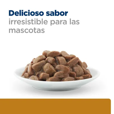 Texto: Delicioso sabor irresistible para las mascotas. Plato blanco con trozos de comida húmeda marrón para mascotas.
