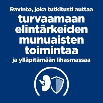 Ravinto, joka tutkitusti auttaa turvaamaan elintärkeiden munuaisten toimintaa ja ylläpitämään lihasmassaa