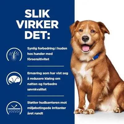 Hill's Prescription Diet Canine Derm komplett hundefôr