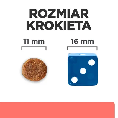 Rozmiar krokieta: średnica 11 mm, obok dla porównania niebieska kostka do gry o boku 16 mm.
