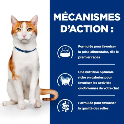 MÉCANISMES D’ACTION : Formulée pour favoriser la prise alimentaire, une nutrition optimale riche en calories, formulée pour favoriser la qualité des selles