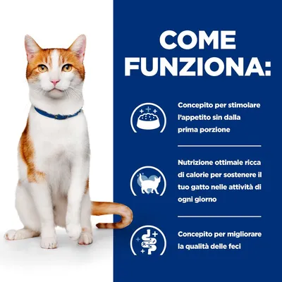 COME FUNZIONA: Conceito per stimolare l’appetito sin dalla prima porzione. Nutrizione ottimale ricca di calorie per sostenere il tuo gatto nelle attività di ogni giorno. Conceito per migliorare la qualità delle feci.