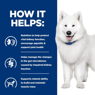 How it helps: supports kidney function, appetite, joint health, manages gut microbiome changes from impaired kidneys, and helps build and maintain muscle mass. White dog shown beside text.