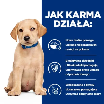 Jak karma działa: nowe białko pomaga unikać niepożądanych reakcji na pokarm, bioaktywne składniki wspierają odporność, kwasy tłuszczowe pomagają utrzymać dobry stan skóry. Jak karma działa: nowe białko pomaga unikać niepożądanych reakcji na pokarm, bioaktywne składniki wspierają odporność, kwasy tłuszczowe pomagają utrzymać dobry stan skóry.