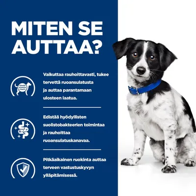 Teksti: MITEN SE AUTTAA? Vaikuttaa rauhoittavasti, tukee tervettä ruoansulatusta ja auttaa parantamaan ulosteen laatua. Edistää hyödyllisten suolistobakteerien toimintaa. Pitkäaikainen ruokinta auttaa terveen vastustuskyvyn ylläpitämisessä.