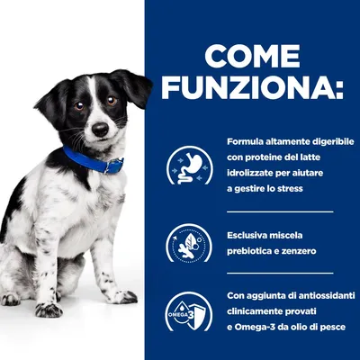 COME FUNZIONA: Formula altamente digeribile con proteine del latte idrolizzate, esclusiva miscela prebiotica e zenzero, antiossidanti clinicamente provati e Omega-3 da olio di pesce.