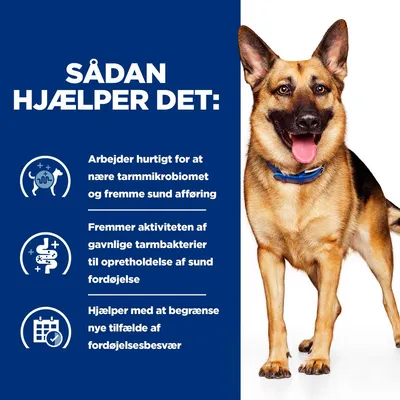 Sådan hjælper det: Nærer tarmmikrobiomet, fremmer sund afføring, øger gavnlige tarmbakterier for fordøjelse og begrænser nye tilfælde af fordøjelsesbesvær. Hund ved siden af tekst.