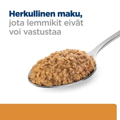 Herkullinen maku, jota lemmikit eivät voi vastustaa. Kuvassa lusikallinen ruskeaa märkäruokaa.