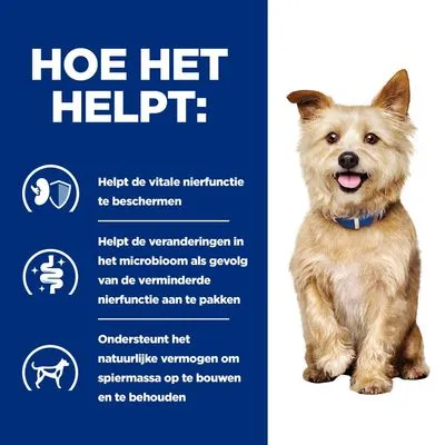 Hoe het helpt: beschermt vitale nierfunctie, helpt veranderingen in microbioom bij verminderde nierfunctie aan te pakken, ondersteunt opbouw en behoud van spiermassa.