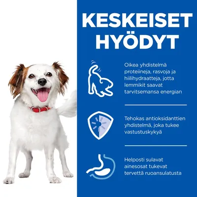 KESKEISET HYÖDYT: Oikea yhdistelmä proteiineja, rasvoja ja hiilihydraatteja; tehokas antioksidanttien yhdistelmä; helposti sulavat ainesosat tukevat ruoansulatusta.