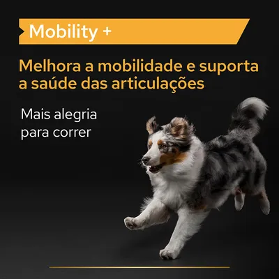 Mobility +. Melhora a mobilidade e suporta a saúde das articulações. Mais alegria para correr.