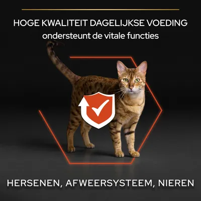 HOGE KWALITEIT DAGELIJKSE VOEDING ondersteunt de vitale functies. HERSENEN, AFWEERSYSTEEM, NIEREN.