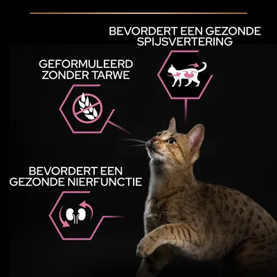 Geformuleerd zonder tarwe, bevordert een gezonde spijsvertering en bevordert een gezonde nierfunctie. Afbeelding van een kat met bijbehorende iconen en tekst.